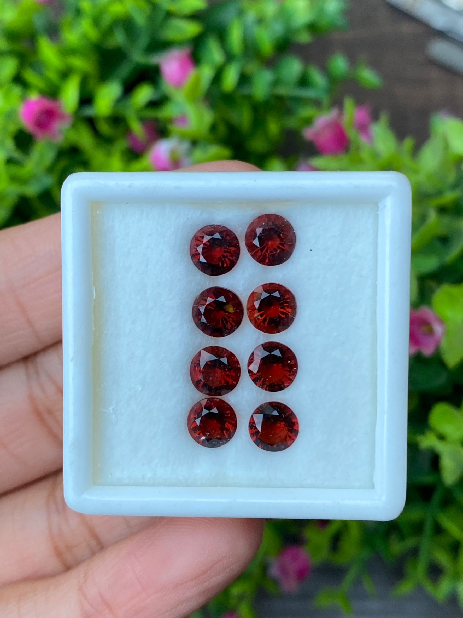 พลอย ซิทริน Citrine 5.82 กะรัต(Cts.) 8 เม็ด Pcs. พลอยแท้ อัญมณีมงคลประจําวันเกิด เครื่องประดับพลอย