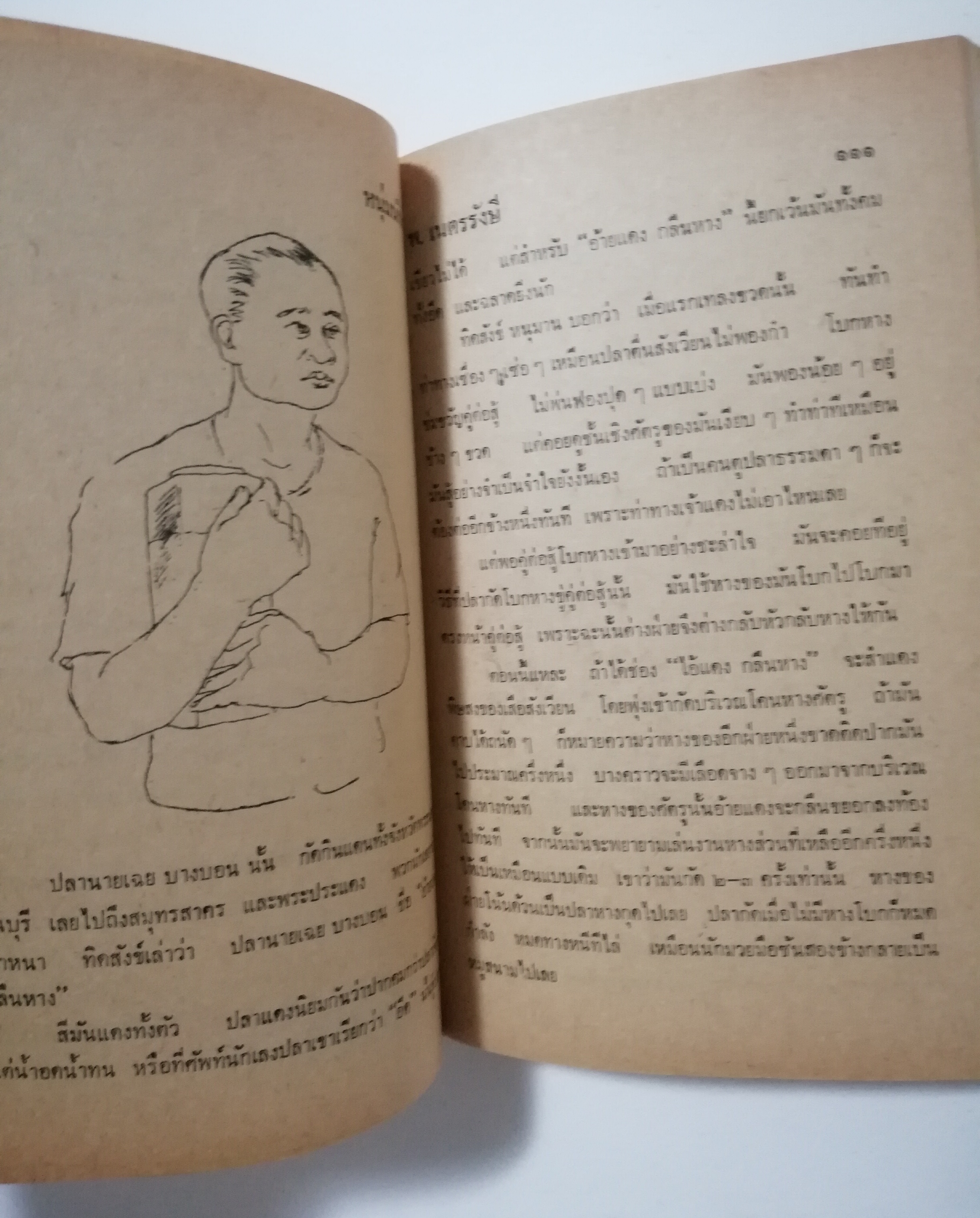 หนังสือเก่า นิยายเชิงอัตชีวประวัติของ พ.เนตรรังษี "หนุ่มนักเรียน" พร้อมภาพประกอบในเล่ม ปีที่พิพม์ ตุลาคม 2526 **มีตำหนิตามภาพ