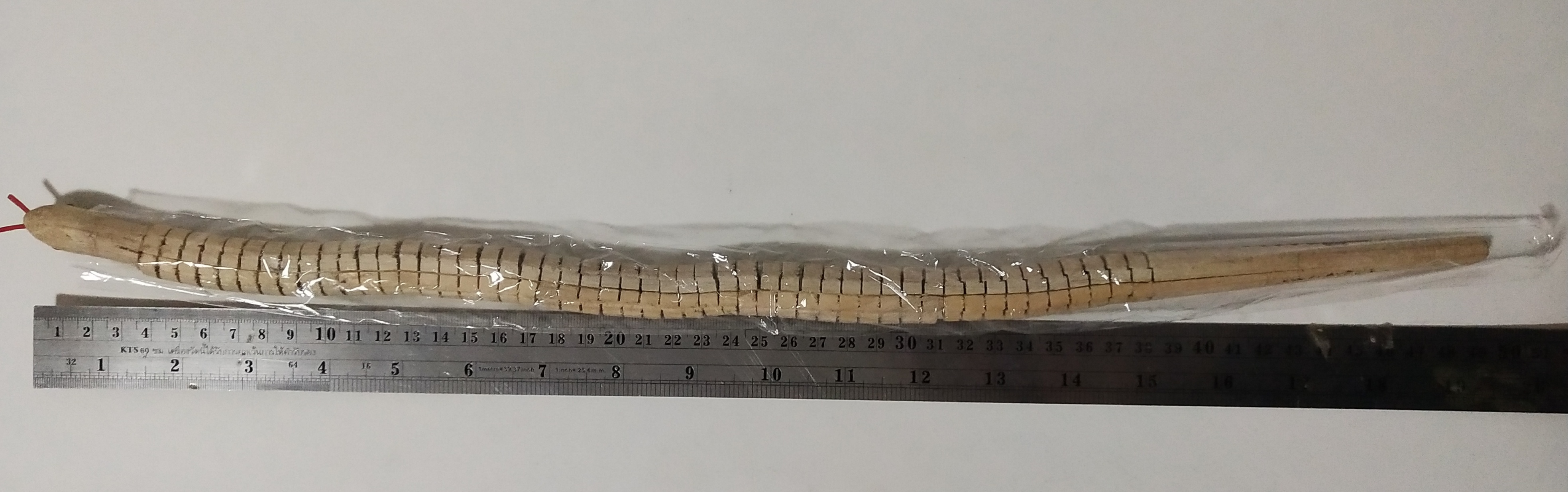 งูไม้ระกำ กระดุกกระดิกได้ สีดำ ขนาดประมาณ 19" ( มี 4สี :แดง,เขียว,น้ำตาล,ดำ)