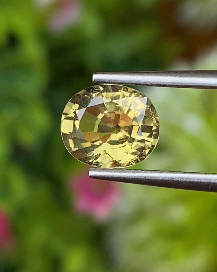 พลอย คริโซเบริล (Chrysoberyl) 1.68 กะรัต (Cts.) พลอยแท้ อัญมณีมงคลประจําวันเกิด เครื่องประดับพลอย
