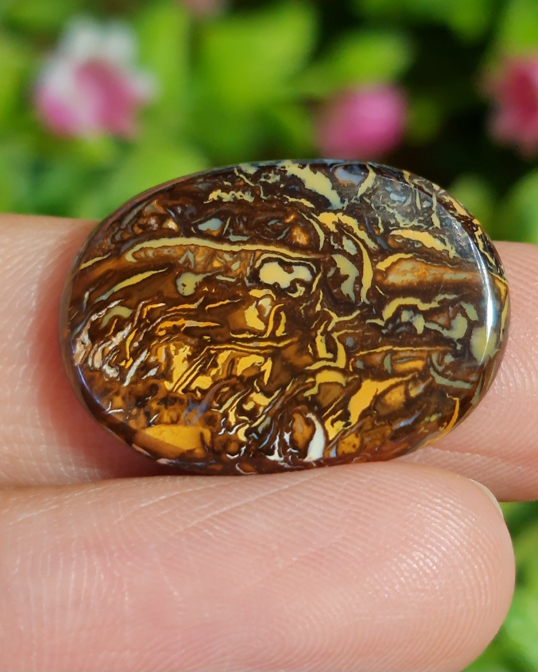 พลอย โบลเดอร์ โอปอล ออสเตรเลีย Australian Boulder Opal 13.50 กะรัต (Cts.) พลอยแท้ อัญมณีมงคลประจําวันเกิด เครื่องประดับพลอย