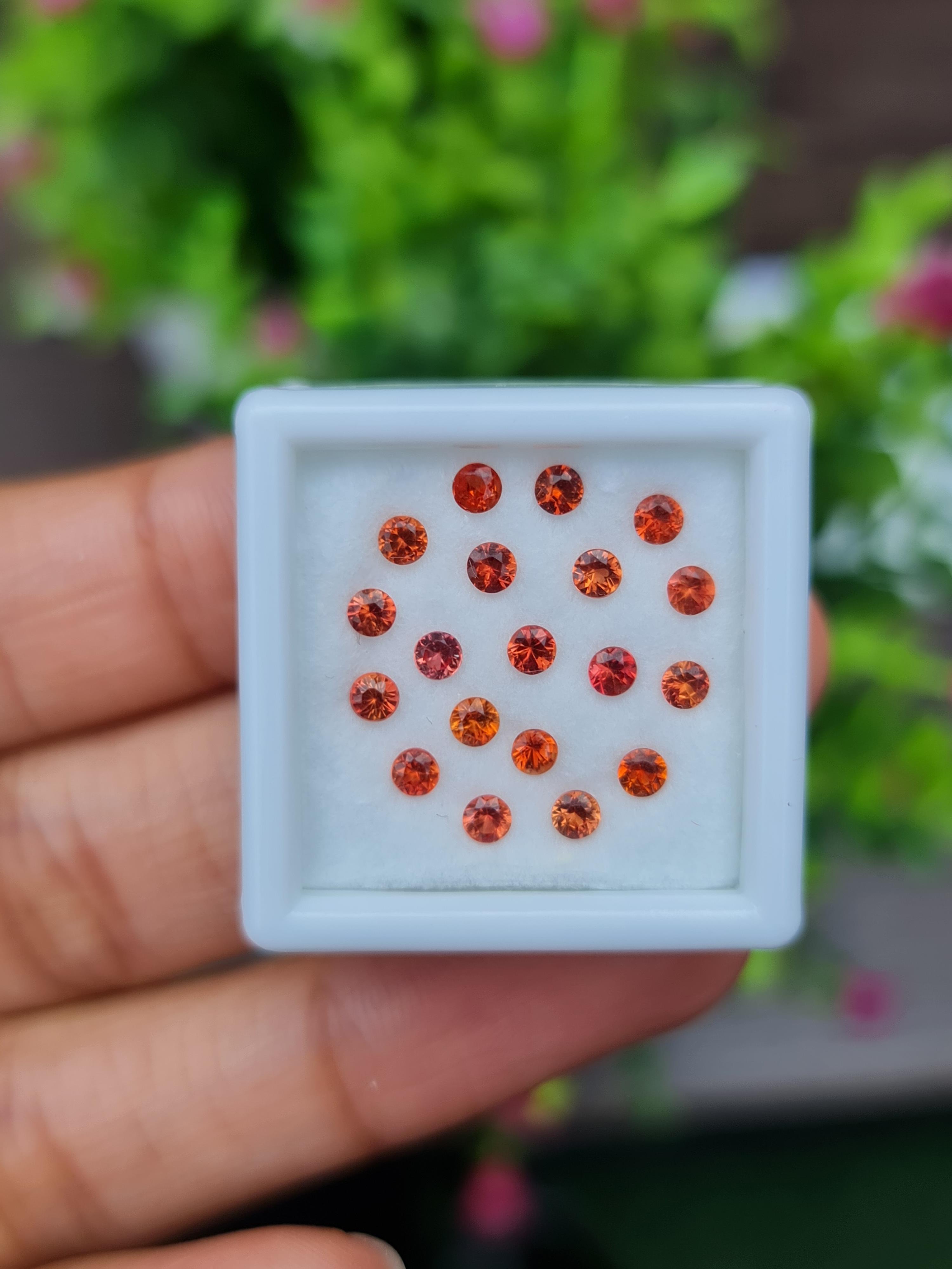 พลอย ซองเจีย แซฟไฟร์ Songea Sapphire 19 เม็ด 1.60 กะรัต (Cts.) พลอยแท้ อัญมณีมงคลประจําวันเกิด เครื่องประดับพลอย