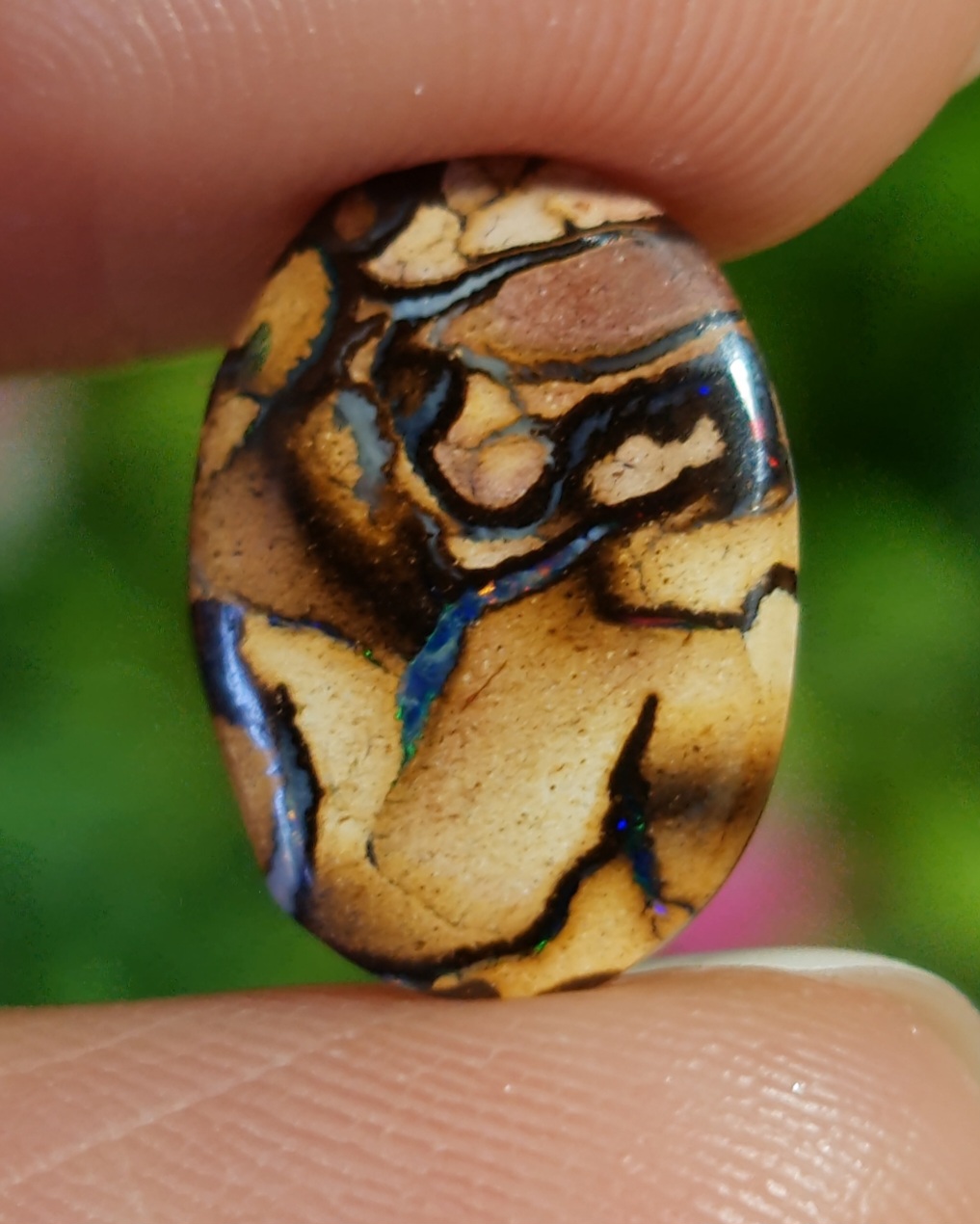 พลอย โบลเดอร์ โอปอล ออสเตรเลีย Australian Boulder Opal 3.28 กะรัต (Cts.) พลอยแท้ อัญมณีมงคลประจําวันเกิด เครื่องประดับพลอย