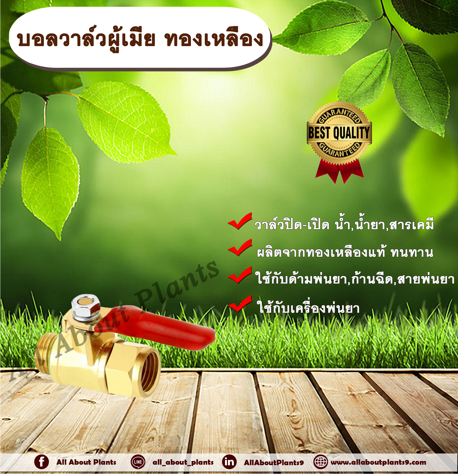 บอลวาล์วผู้เมีย ทองเหลือง วาล์วปิด-เปิด น้ำ น้ำยา สารเคมี หัวทองเหลือง allaboutplants ชิ้น
