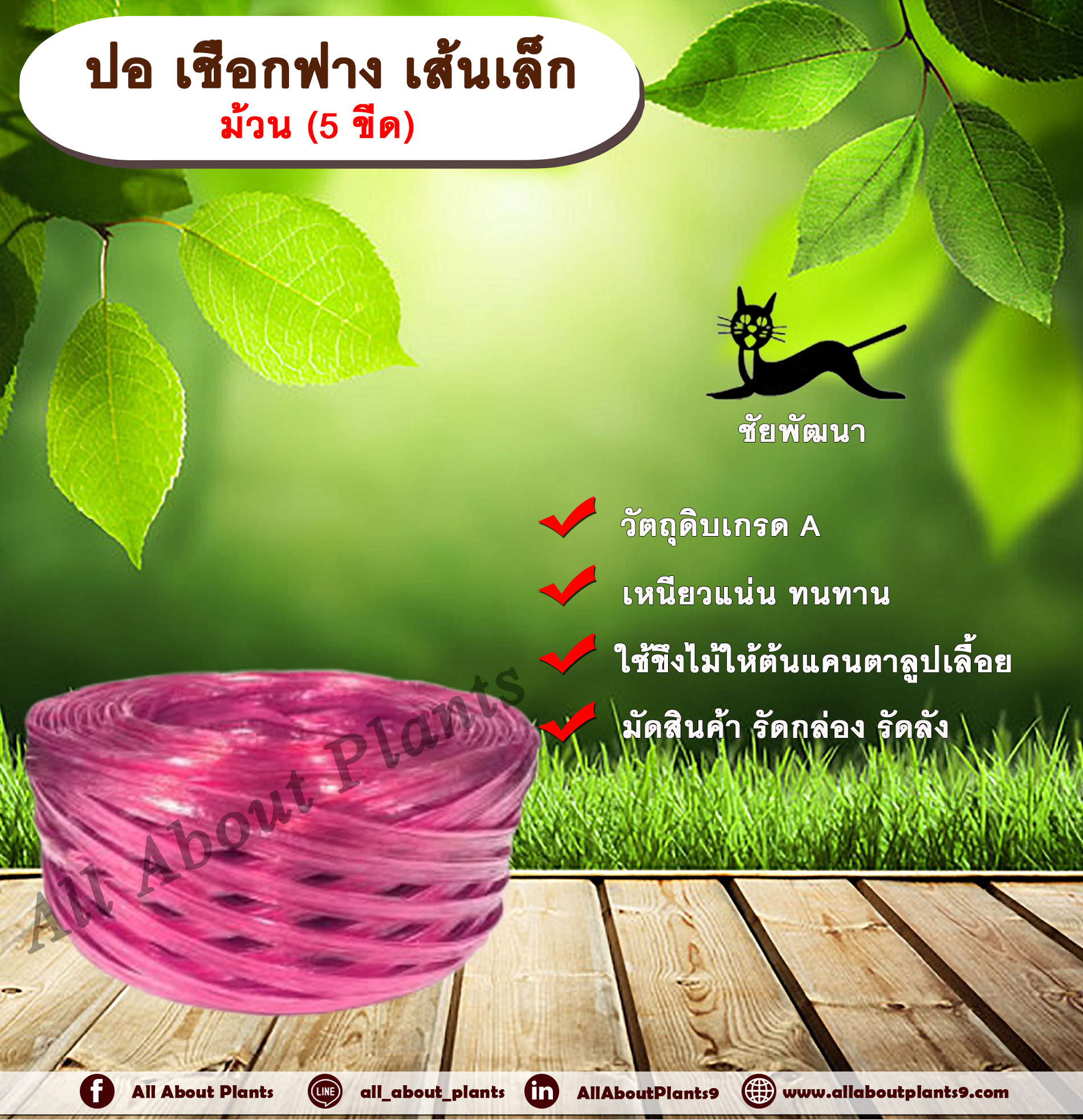 ปอ เชือกฟาง เส้นเล็ก ตราแมว เชือกฟางเส้นเล็ก ใช้ขึงไม้ให้ต้นแคนตาลูปและเมล่อนเลื้อย มัดสินค้า รัดกล่อง รัดลัง allaboutplants ชิ้น