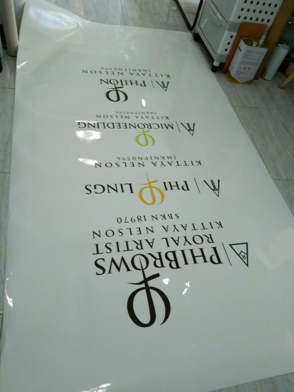 งานสติกเกอร์ไดคัท