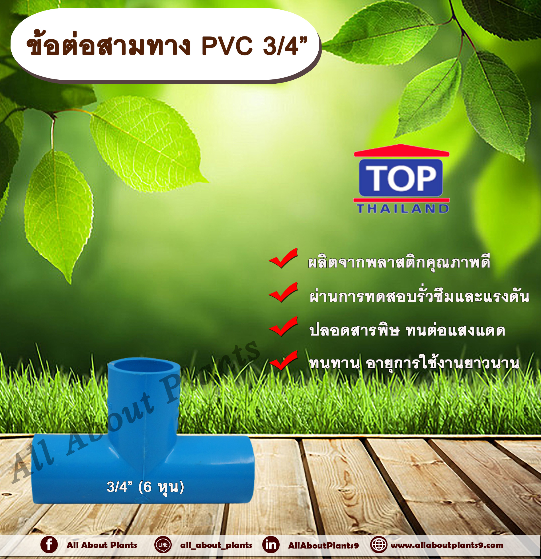 ข้อต่อสามทาง PVC ตรา TOP 3/4”(6หุน) ข้อต่อสามทางท่อPVC ขนาด 3/4นิ้ว หรือ 6หุน allaboutplnats ชิ้น