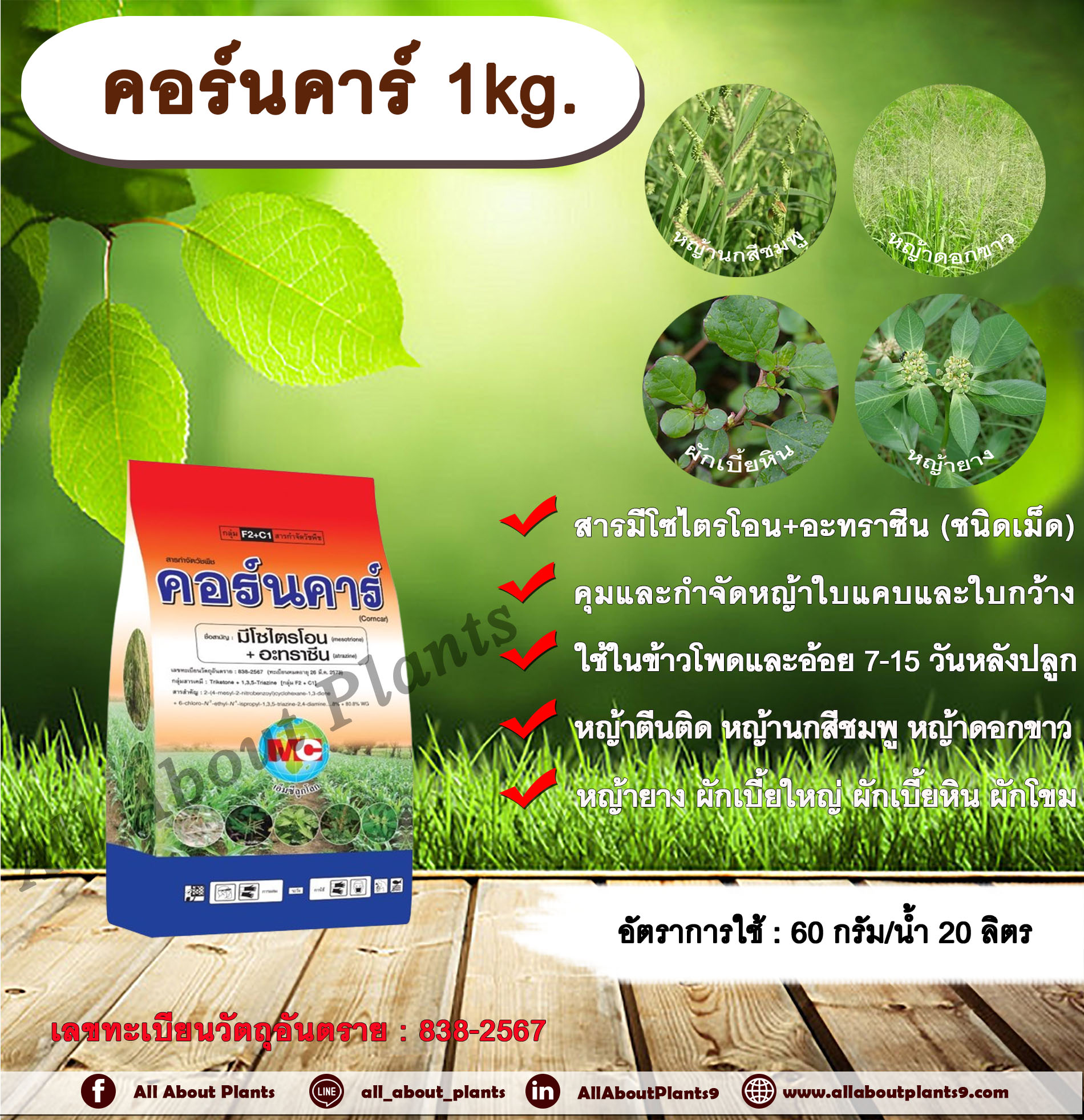 คอร์นคาร์ 1kg. มีโซไตรโอน + อะทราซีน สารคุมวัชพืช สารกำจัดวัชพืช ใบแคบ ใบกว้างหญ้าตีนติด หญ้าตีนกา หญ้านกสีชมพู หญ้าดอกขาว หญ้ายาง ผักเบี้ยใหญ่ ผักเบี้ยหิน ผักโขม ถุง