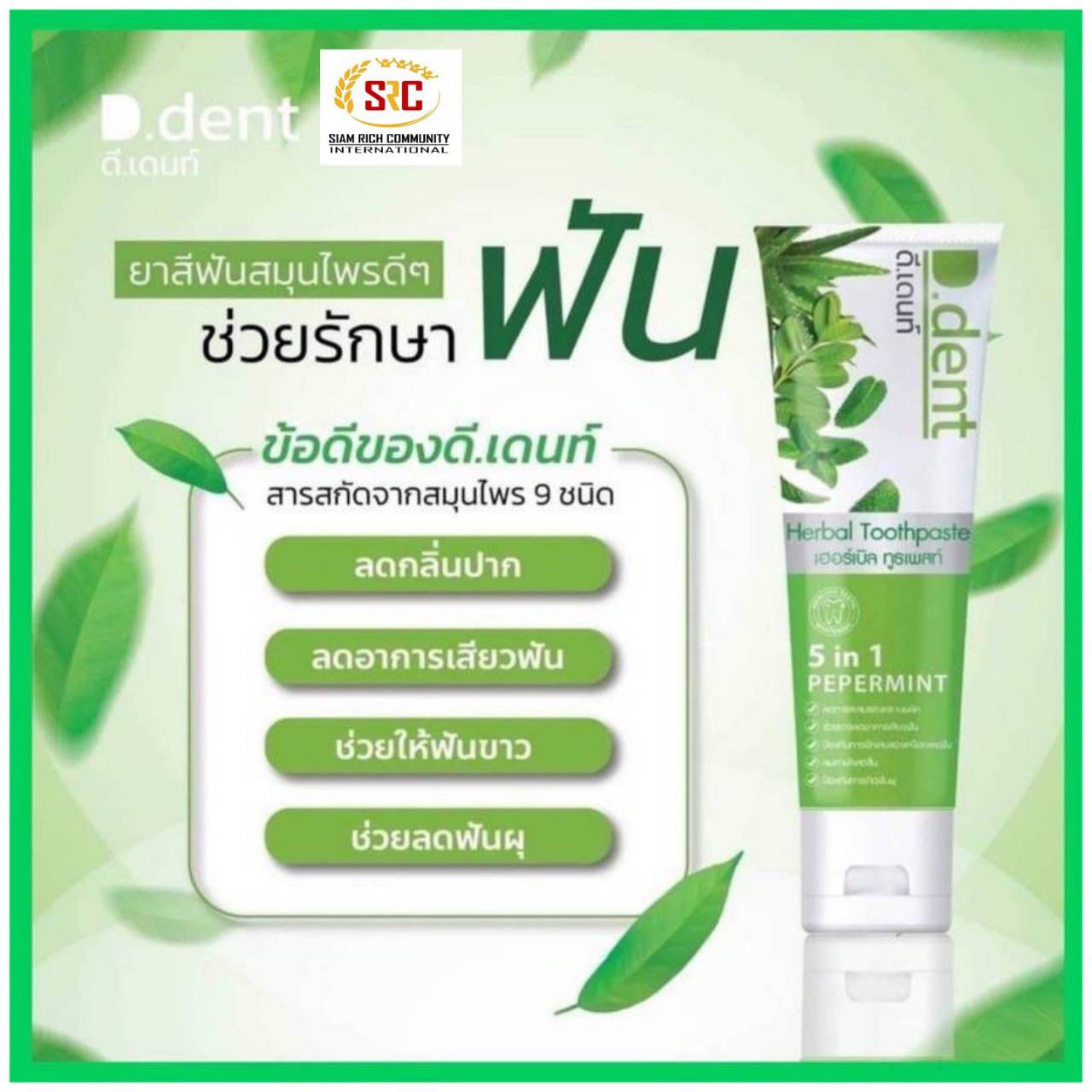 1 PV. D.Dent Herbal Toothpaste 100 g. ดีเดนท์ ยาสีฟันสมุนไพร