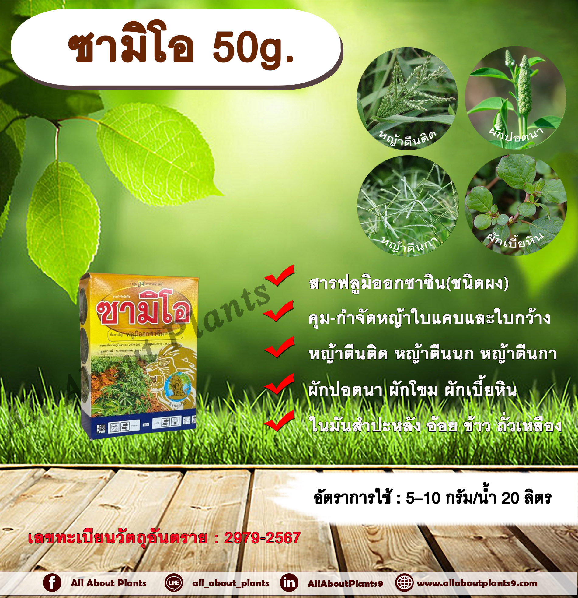 ซามิโอ 50g. ฟลูมิออกซาซิน สารคุมและกำจัดหญ้าใบแคบ ใบกว้าง และกก คุมแห้ง ในมันสำปะหลัง อ้อย ข้าว ถั่วเหลือง กล่อง