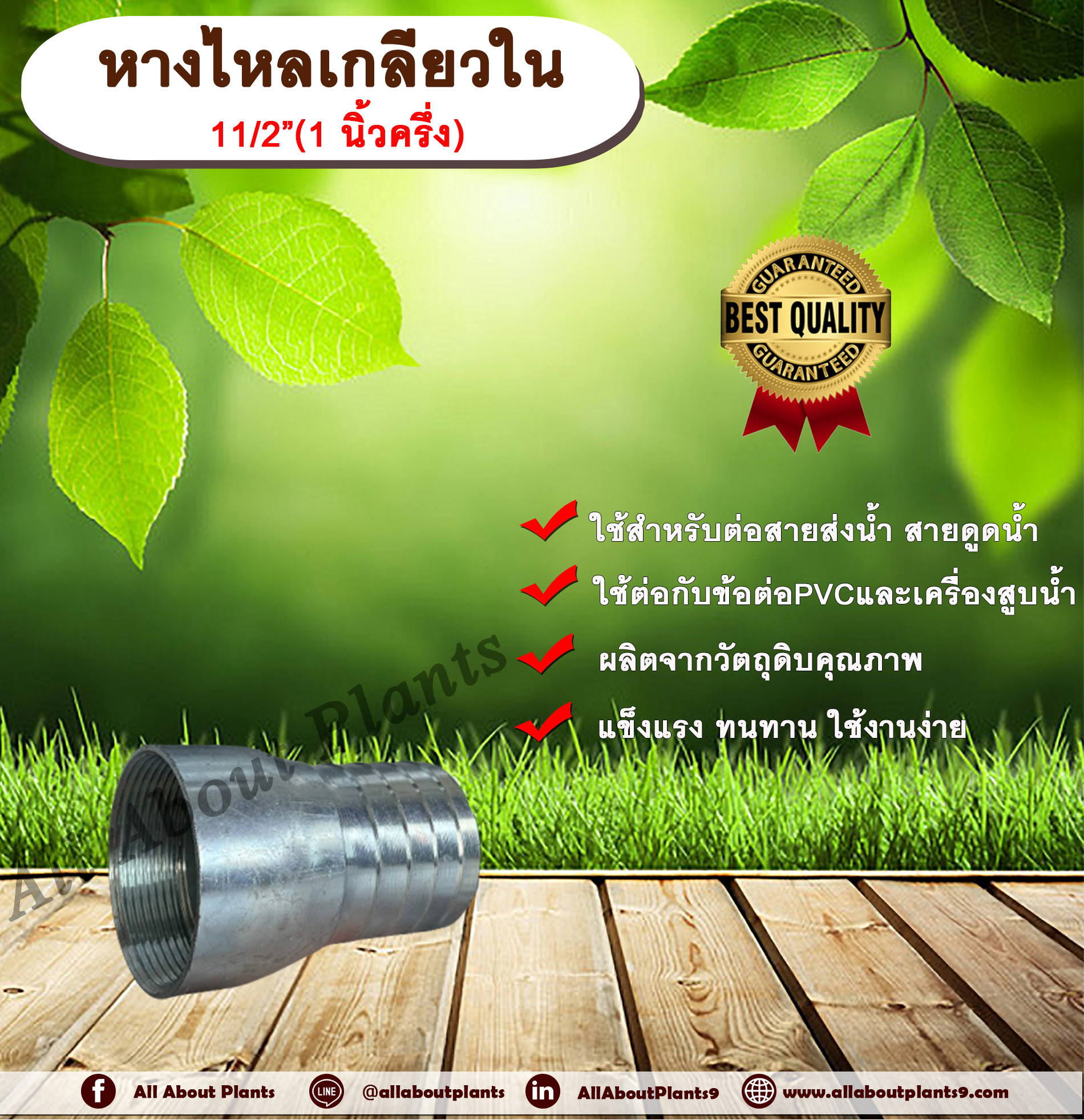 หางไหลเกลียวใน ขนาด 1 นิ้วครึ่ง(1½”) หางไหลข้างเดียว เกลียวใน หางไหลเกลียวใน ข้อต่อสายส่งน้ำ ข้อต่อสายดูดน้ำ ข้อต่อสายส่งน้ำผ้าใบ หางไหล แป๊บรีดเกลียวใน แป๊บเหล็ก แป๊บต่อสายยาง allaboutplants ชิ้น