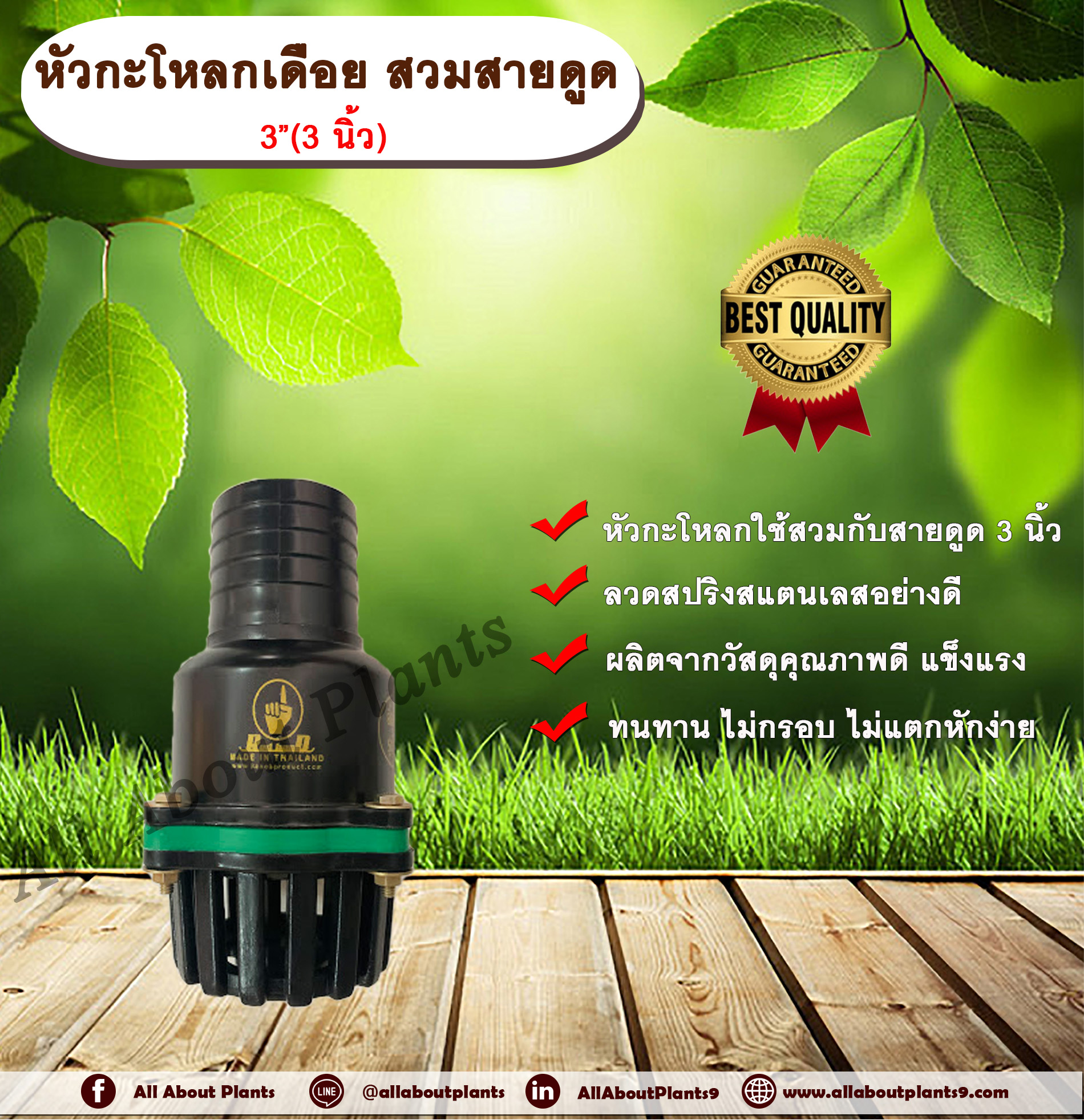 หัวกะโหลกเดือย สวมสายดูด 3”(3 นิ้ว) หัวกะโหลกเดือย สีดำ ขนาด 3 นิ้ว หัวกะโหลกดูดน้ำ allaboutplants รายละเอียดสินค้า ชิ้น