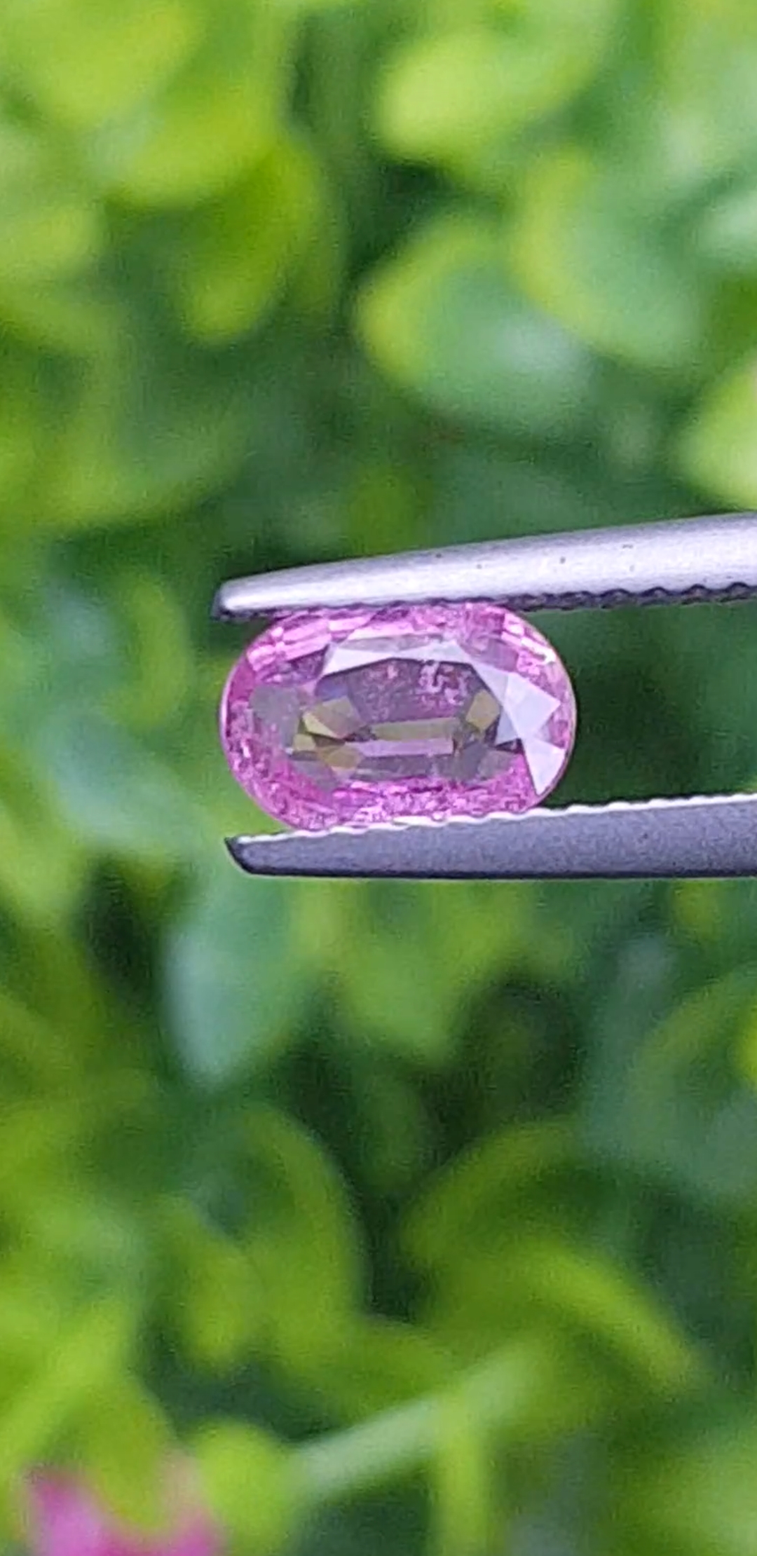 พลอย ชมพู พิ้ง แซฟไฟร์ Pink Sapphire ดิบ Unheated 1.05 กะรัต (Cts.) พร้อมใบเซอร์ พลอยแท้ อัญมณีมงคลประจําวันเกิด เครื่องประดับพลอย