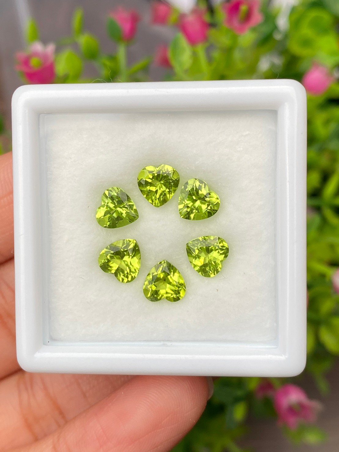 พลอย เพอริดอต Peridot 5.32 กะรัต (Cts.) 6 เม็ด (pcs.) พลอยแท้ อัญมณีมงคลประจําวันเกิด เครื่องประดับพลอย