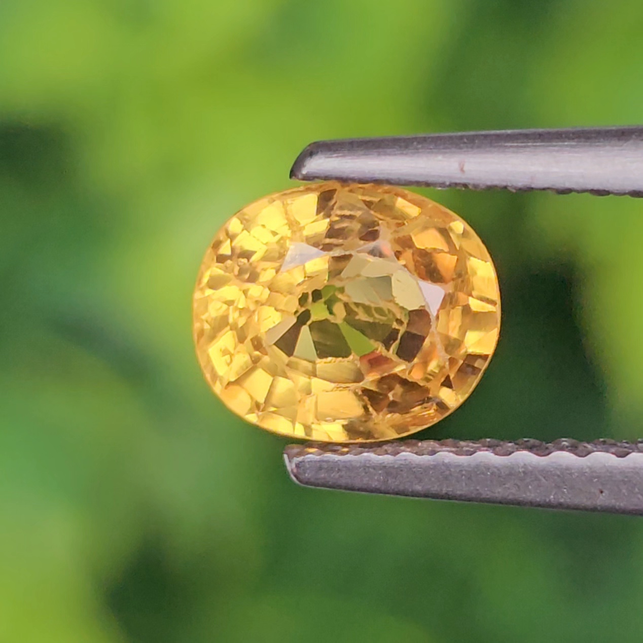 พลอย บุษราคัม yellow sapphire 1.33 กะรัต (Cts.) พลอยแท้ อัญมณีมงคลประจําวันเกิด เครื่องประดับพลอย