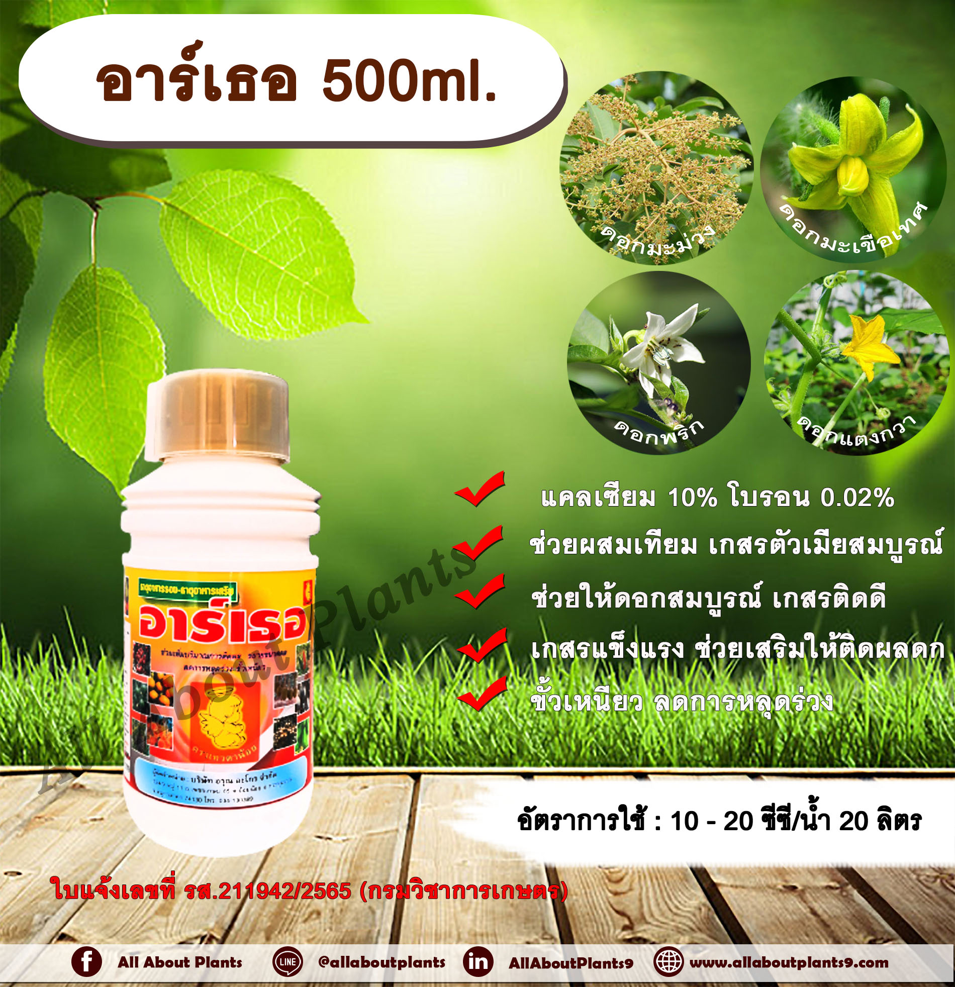 อาร์เธอ 500ml. แคลซียม โบรอน ผสมเทียม เกสรตัวเมียสมบูรณ์ ดอกสมบูรณ์ เกสรแข็งแรง เกสรติดดี ติดผลดก ขั้วเหนียว ลดการหลุดร่วง สารอาหารสำหรับพืช ธาตุอาหารรอง ธาตุอาหารเสริม ชิ้น