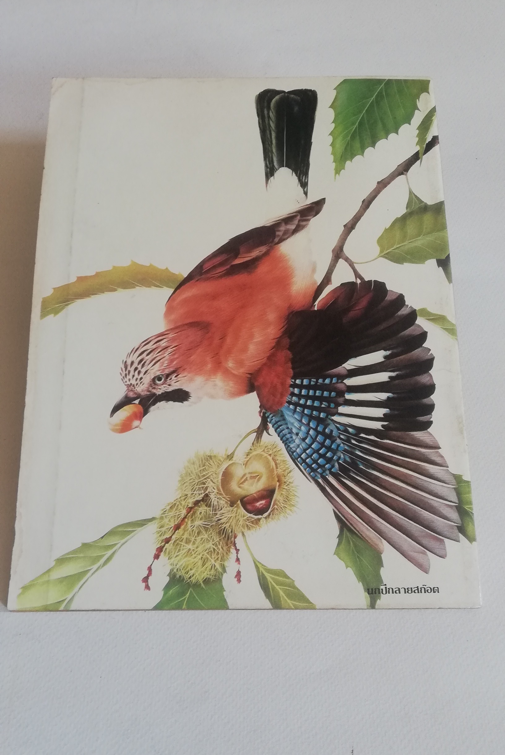 มีหลายภาพ, นิตยสารเก่า วิทยาศาสตร์มหัศจรรย์ ฉบับที่5, ภาพการ์ตูนในเล่ม : ศึกอวกาศ, ลูกไก่แสนกล เรื่องโดย รำพูล แก้วงาม ภาพโดย สมชาย เวชวิทย์, เพียงพอน โดย สมชาย เวชวิทย์