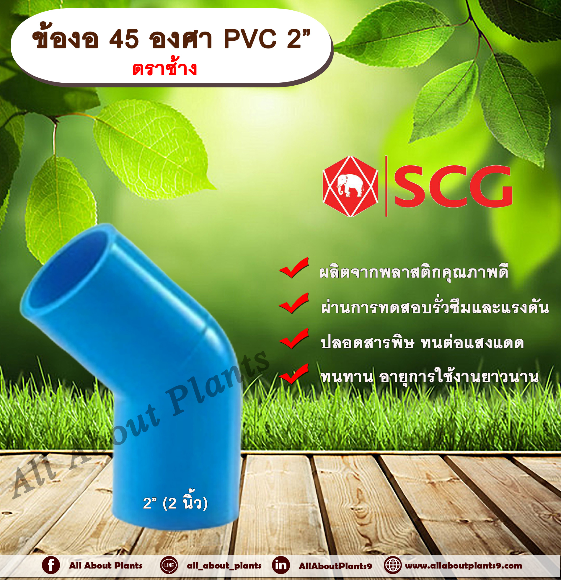 ข้องอ 45 องศา PVC 2” (2นิ้ว) ตราช้าง ข้องอ 45 องศา ข้องอต่อท่อPVC allaboutplants ชิ้น