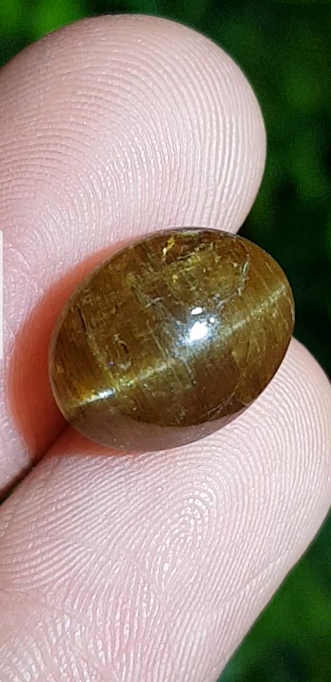 พลอย ตาแมว อะพาไทต์ Cat eye Apatite 7.67 กะรัต (Cts.)
