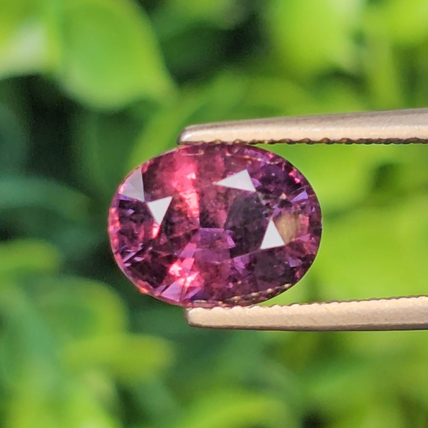 พลอย คัลเลอร์เชนจ์ แซฟไฟร์ Color Change Sapphire 3.40 กะรัต (Cts.) พลอยแท้ อัญมณีมงคลประจําวันเกิด เครื่องประดับพลอย