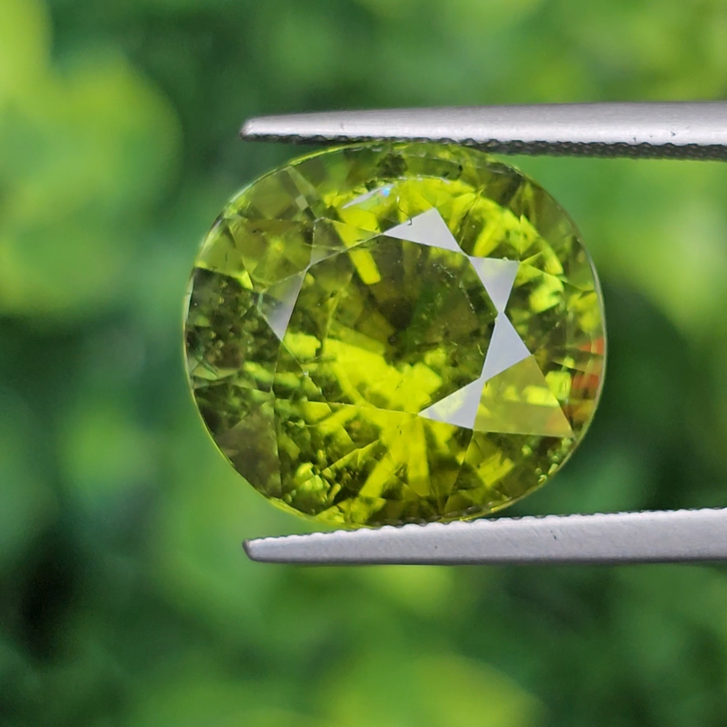 พลอย ทัวร์มาลีน Tourmaline 13.77 กะรัต (Cts.) พลอยแท้อัญมณีมงคล ประจําวันเกิด เครื่องประดับพลอย