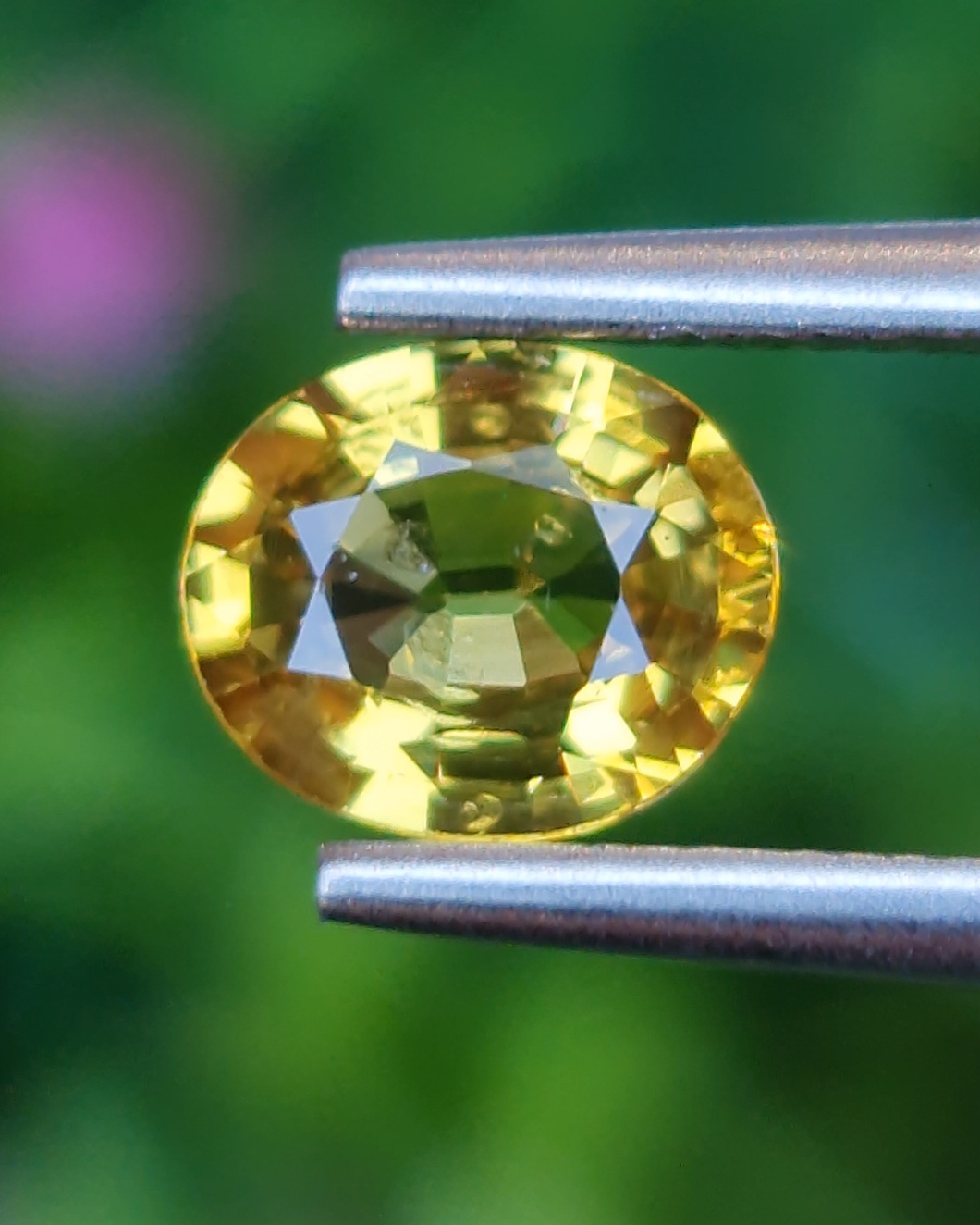 พลอย บุษราคัม yellow sapphire 1.00 กะรัต (Cts.) พลอยแท้ อัญมณีมงคลประจําวันเกิด เครื่องประดับพลอย