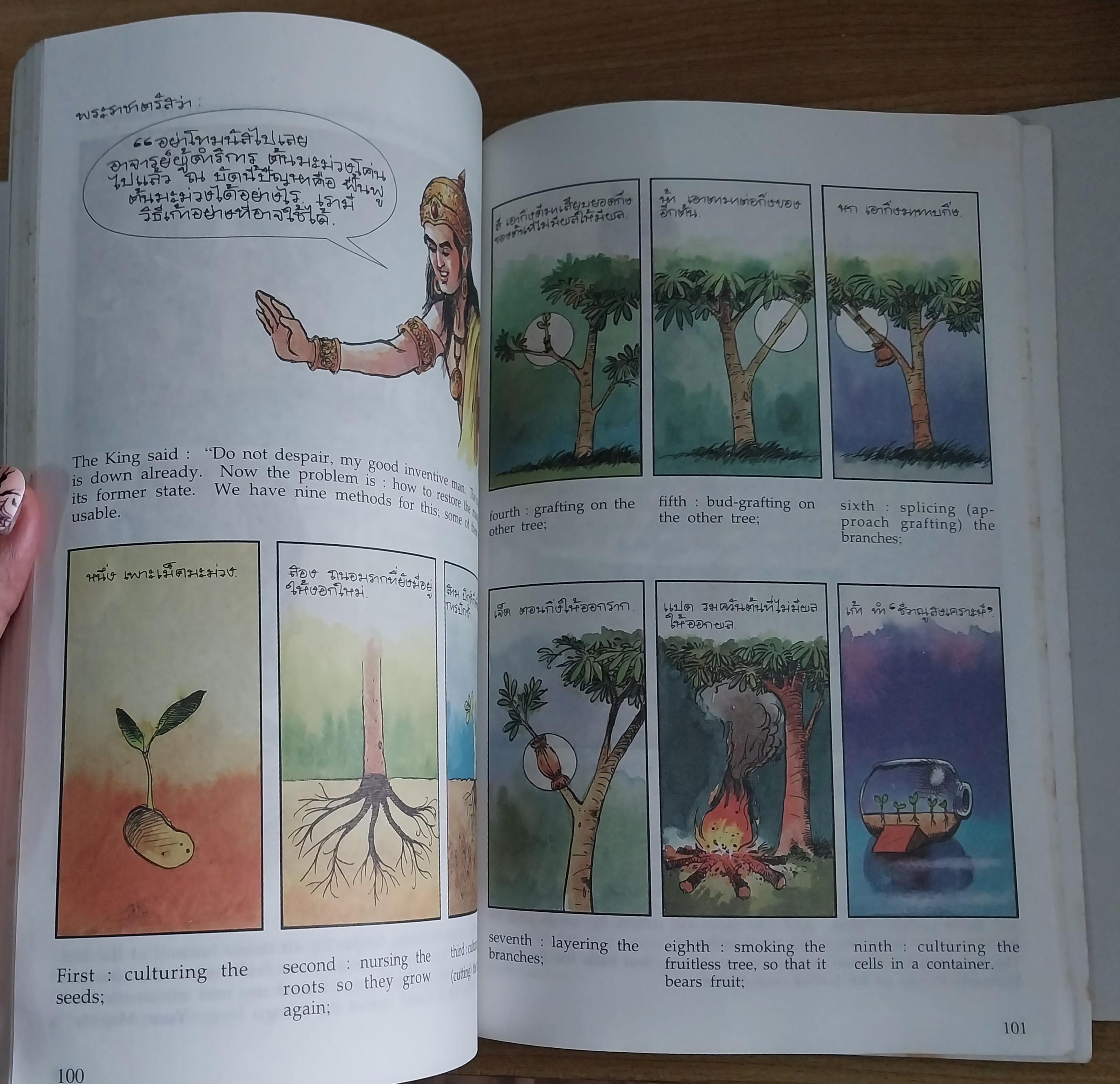 มือ2 หนังสือภาพสวย หนังสือการ์ตูนพระมหาชนก 2ภาษาไทย_อังกฤษ ภาพโดย ชัย ราชวัตร และผู้ช่วย โอม รัชเวชย์