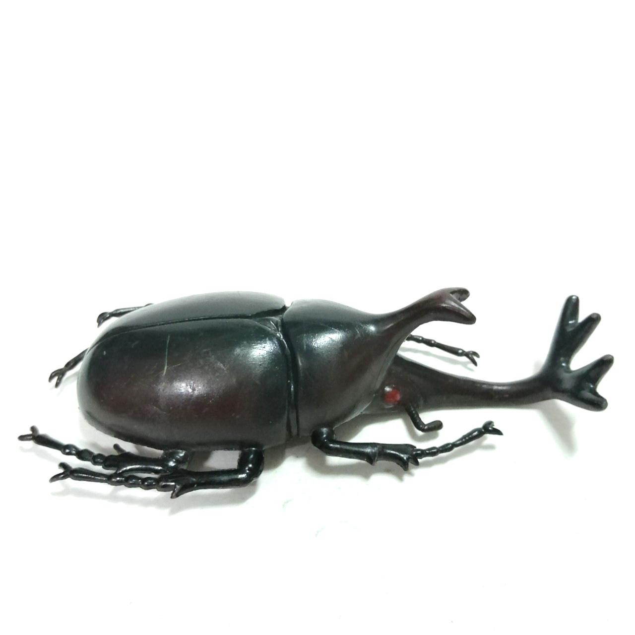 ชุดแมลงยางตัน ด้วงเขากวาง เขาเดียว ขนาดตามรูป สภาพดี