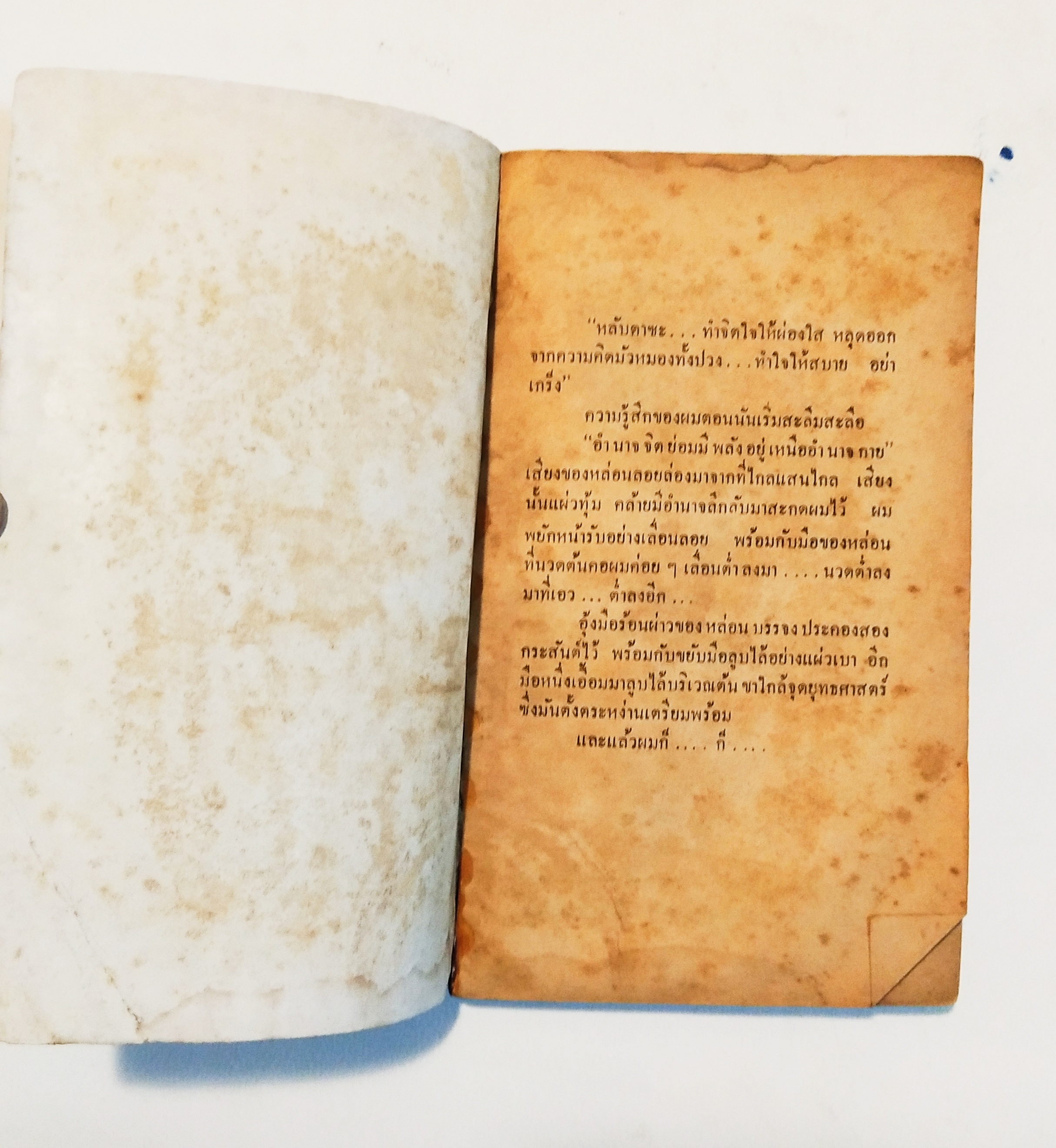 หนังสือนิยายแปลเก่า **มีตำหนิตามภาพ, INTERNATIONAL BESTSELLER พลังจิตพิศวาส TENDER LOVING CARE โดย แอนดรู นีเดอร์แมน นัทยา แปล