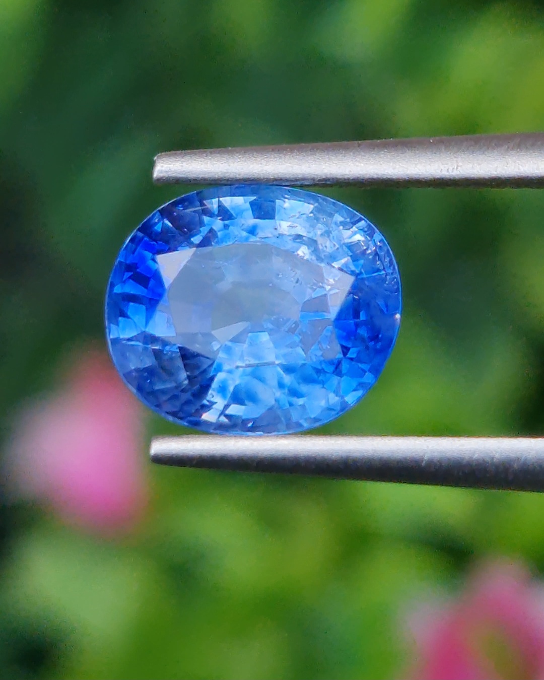 พลอย ไพลิน Blue Sapphire 2.48 กะรัต (Cts.) พร้อมใบเซอร์ พลอยแท้ อัญมณีมงคลประจําวันเกิด เครื่องประดับพลอย