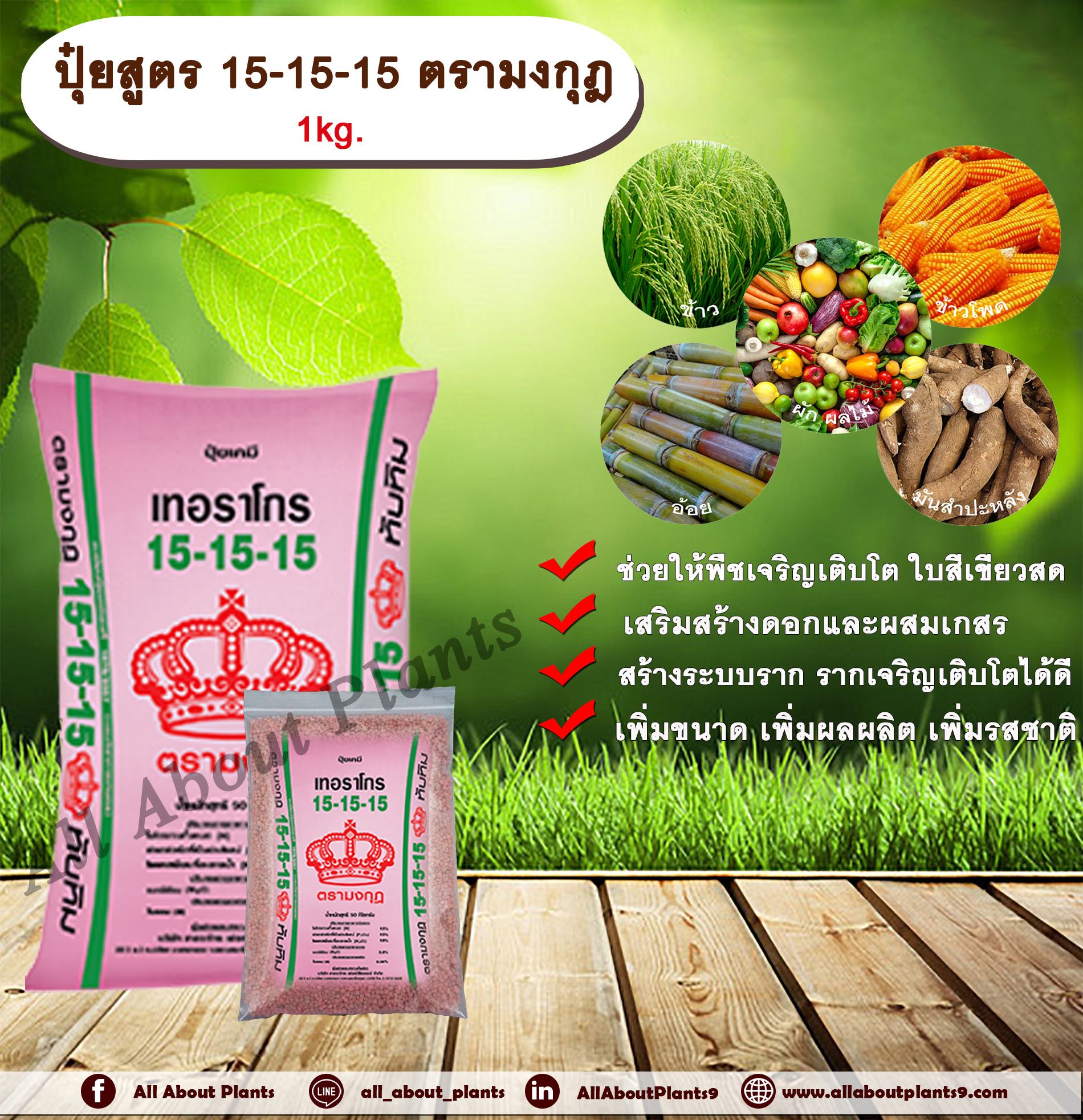 ปุ๋ยสูตร 15-15-15 ตรามงกุฎ 1kg. ช่วยให้พืชเจริญเติบโต ใบสีเขียวสด เร่งต้น เร่งดอก เร่งผล ปุ๋ยสูตรเสมอ ปุ๋ยใส่ดิน NPK allaboutplants ถุง