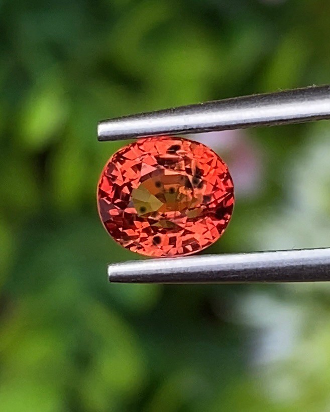 พลอย ออเรนจ์ แซฟไฟร์ Orange Sapphire 1.36 กะรัต (Cts.) พลอยแท้ อัญมณีมงคลประจําวันเกิด เครื่องประดับพลอย