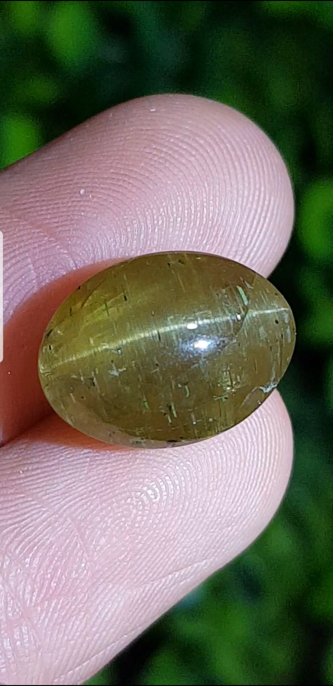 พลอย ตาแมว อะพาไทต์ Cat eye Apatite 11.68 กะรัต (Cts.) พลอยแท้ อัญมณีมงคลประจําวันเกิด เครื่องประดับพลอย