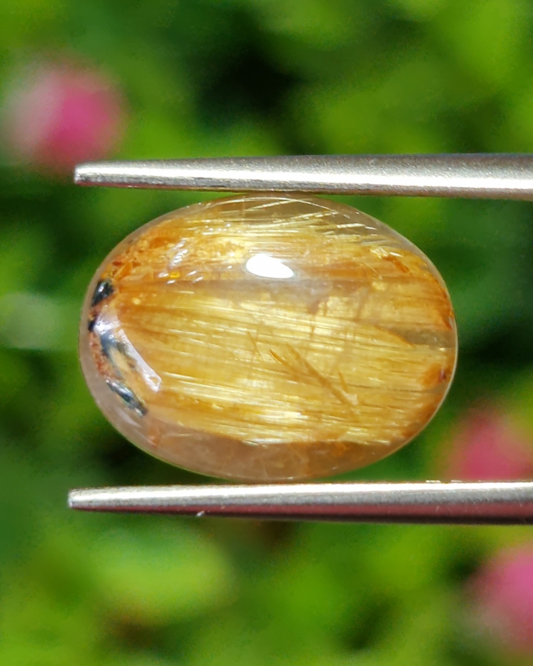 ตาแมว ไหมทอง ควอตซ์ Cat eye Golden Rutilated Quartz 6.29 กะรัต Cts.พลอยแท้ อัญมณีมงคลประจําวันเกิด เครื่องประดับพลอย