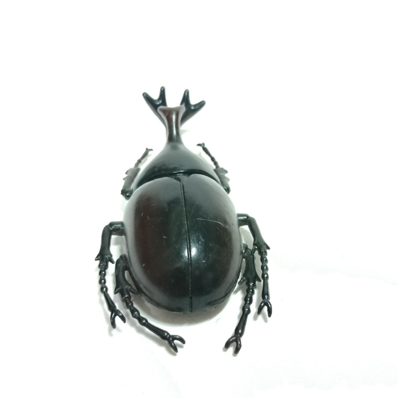 ชุดแมลงยางตัน ด้วงเขากวาง เขาเดียว ขนาดตามรูป สภาพดี