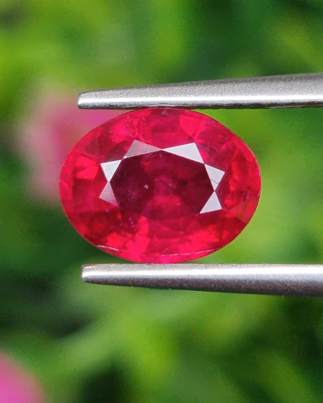 พลอย ทับทิม Ruby sapphire 2.69 กะรัต (Cts.) พลอยแท้ อัญมณีมงคลประจําวันเกิด เครื่องประดับพลอย