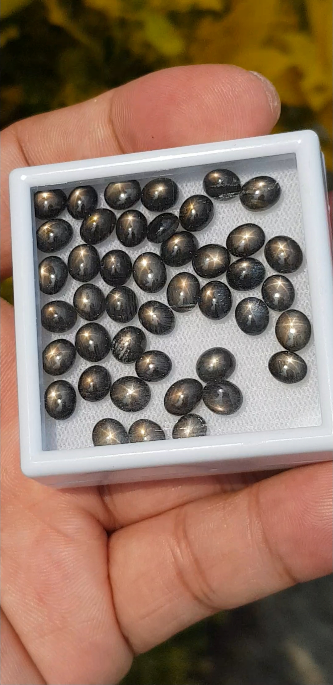 พลอย แบล็ค สตาร์ แซฟไฟร์ Black Star Sapphire 47.85 กะรัต (Cts.) 42 เม็ด (Pcs.) ดิบ Unheated