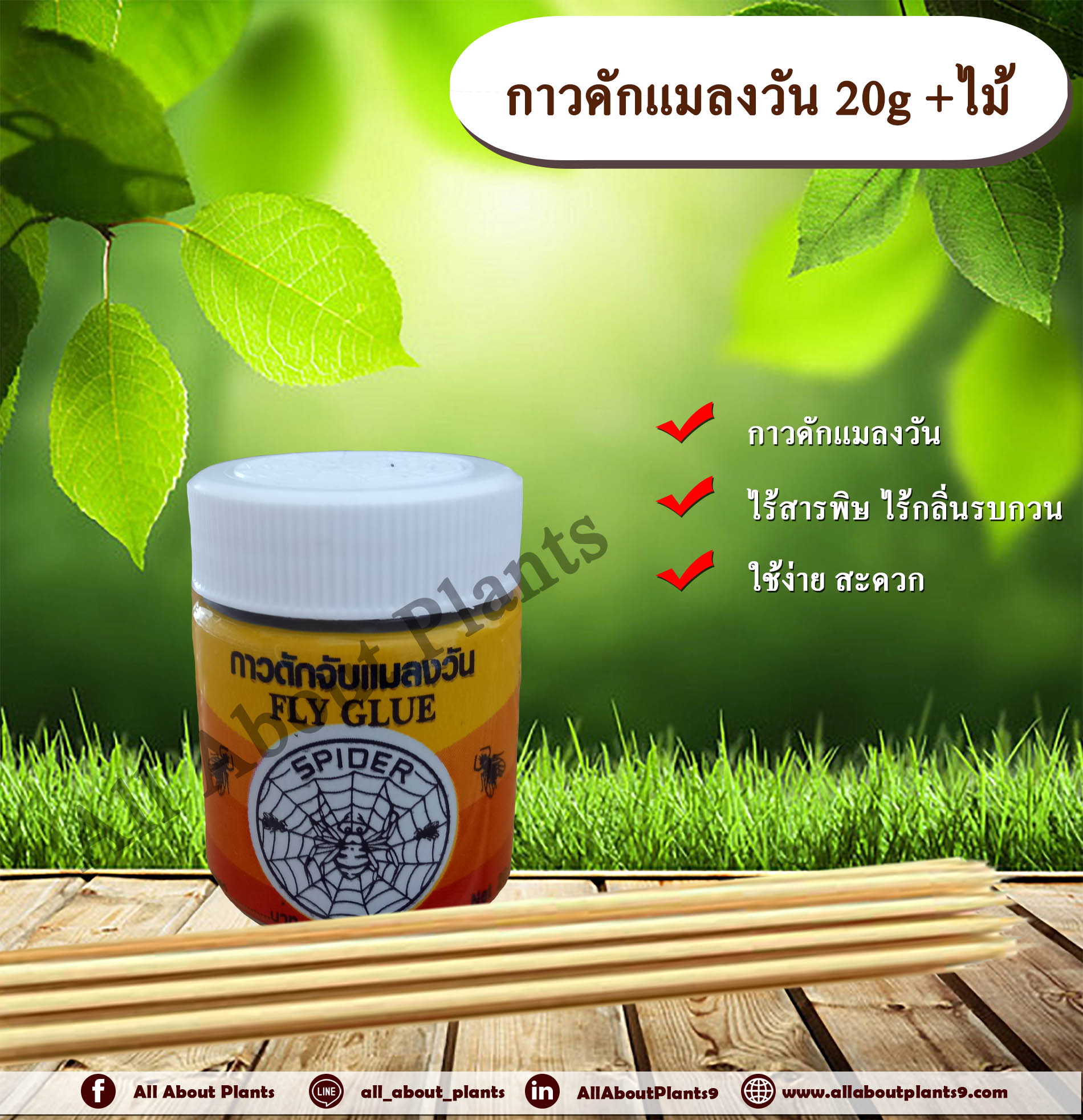กาวดักแมลงวัน 20g. พร้อมไม้ ที่ดักแมลง แมลงหวี่ แมลงทั่วไปallaboutplants ชิ้น