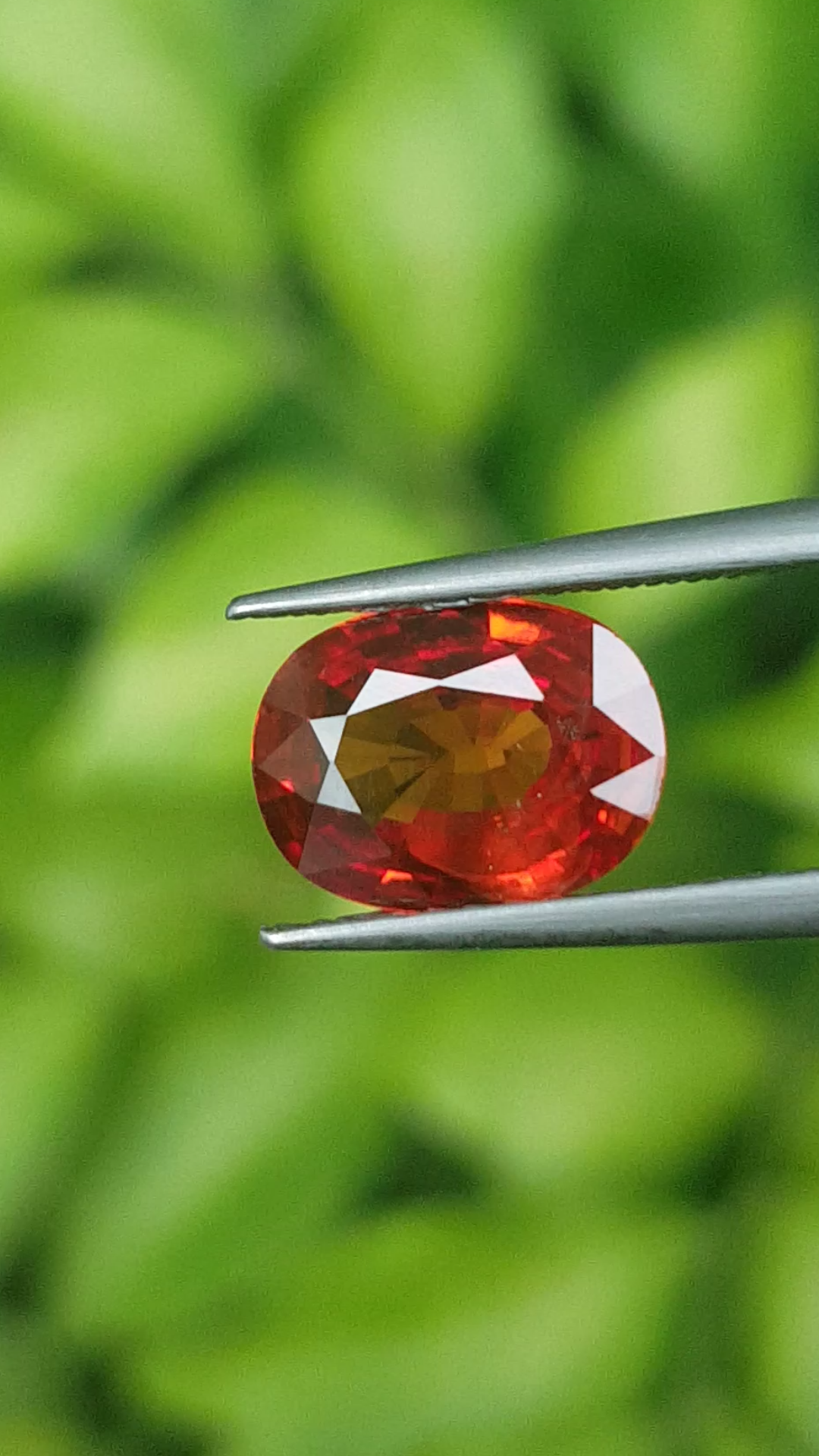 พลอย ทับทิม ซองเจีย Ruby Sapphire 1.50 กะรัต พลอยแท้ อัญมณีมงคลประจําวันเกิด เครื่องประดับพลอย