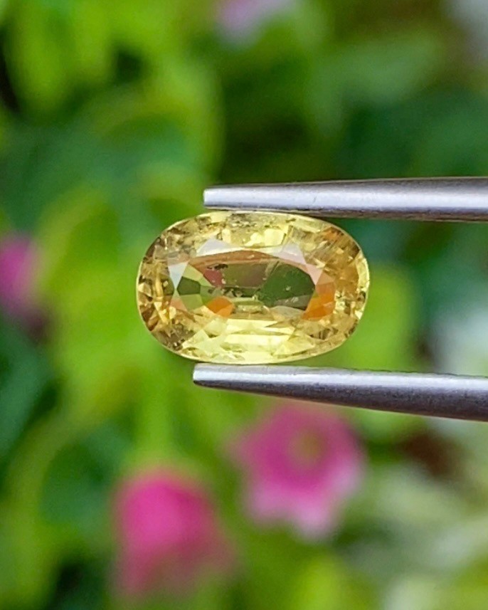 พลอย คริโซเบริล (Chrysoberyl) 1.33 กะรัต (Cts.) พลอยแท้ อัญมณีมงคลประจําวันเกิด เครื่องประดับพลอย