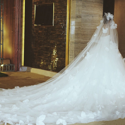 ชุดแต่งงาน เกาะอก หางยาว ซิปหลัง