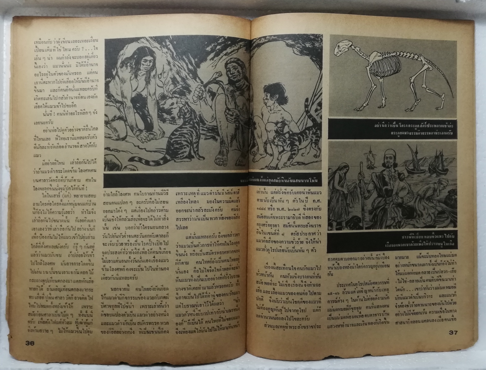 หนังสือเก่า **มีตำหนิตามภาพ สันปกด้านบนหลุด, #ต่วยตูนพิเศษ15ส.ค. - 15 ก.ย. 2519