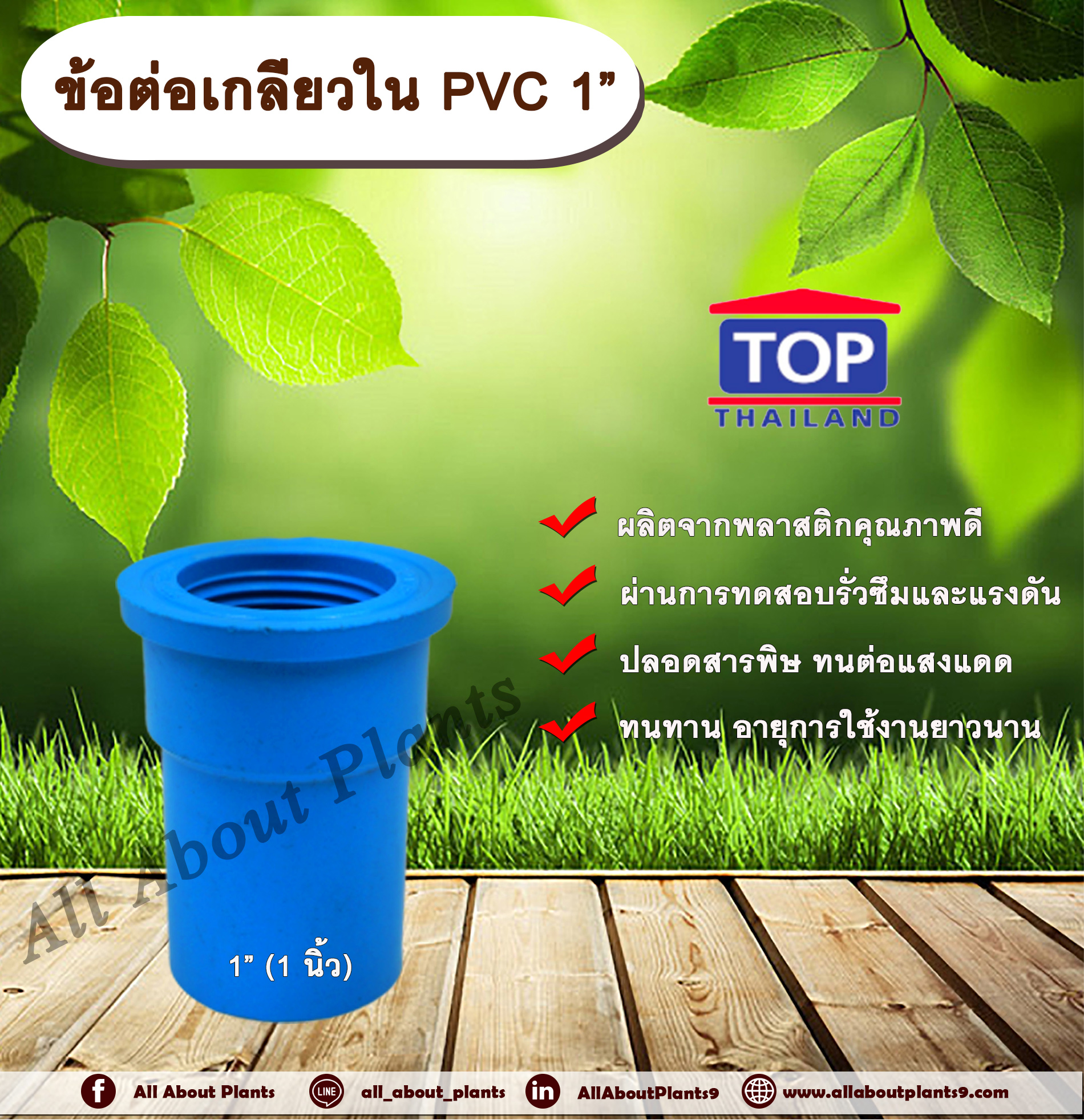 ข้อต่อเกลียวใน PVC ตรา TOP 1”(1นิ้ว) ข้อต่อท่อPVC allaboutplants ชิ้น
