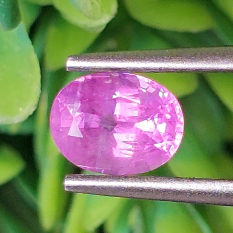 พลอย ชมพู พิ้ง แซฟไฟร์ Pink Sapphire 1.27 กะรัต (Cts.) พลอยแท้ อัญมณีมงคลประจําวันเกิด เครื่องประดับพลอย