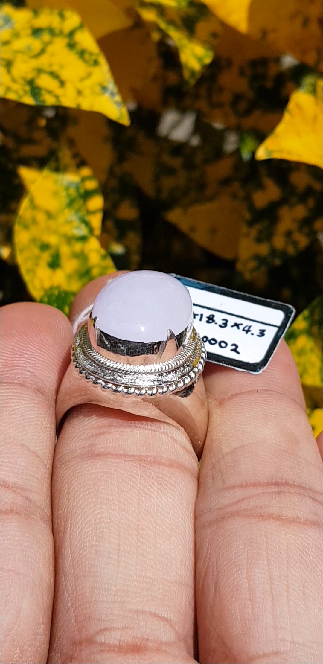 หยก พม่า แท้ Jade แหวนหยก 翡翠戒指 (Jadeite ring) 8.73 กะรัต (Cts.) Size 61 ดิบ ไม่ผ่านการปรับปรุง (Type A) พม่า (Myanmar)
