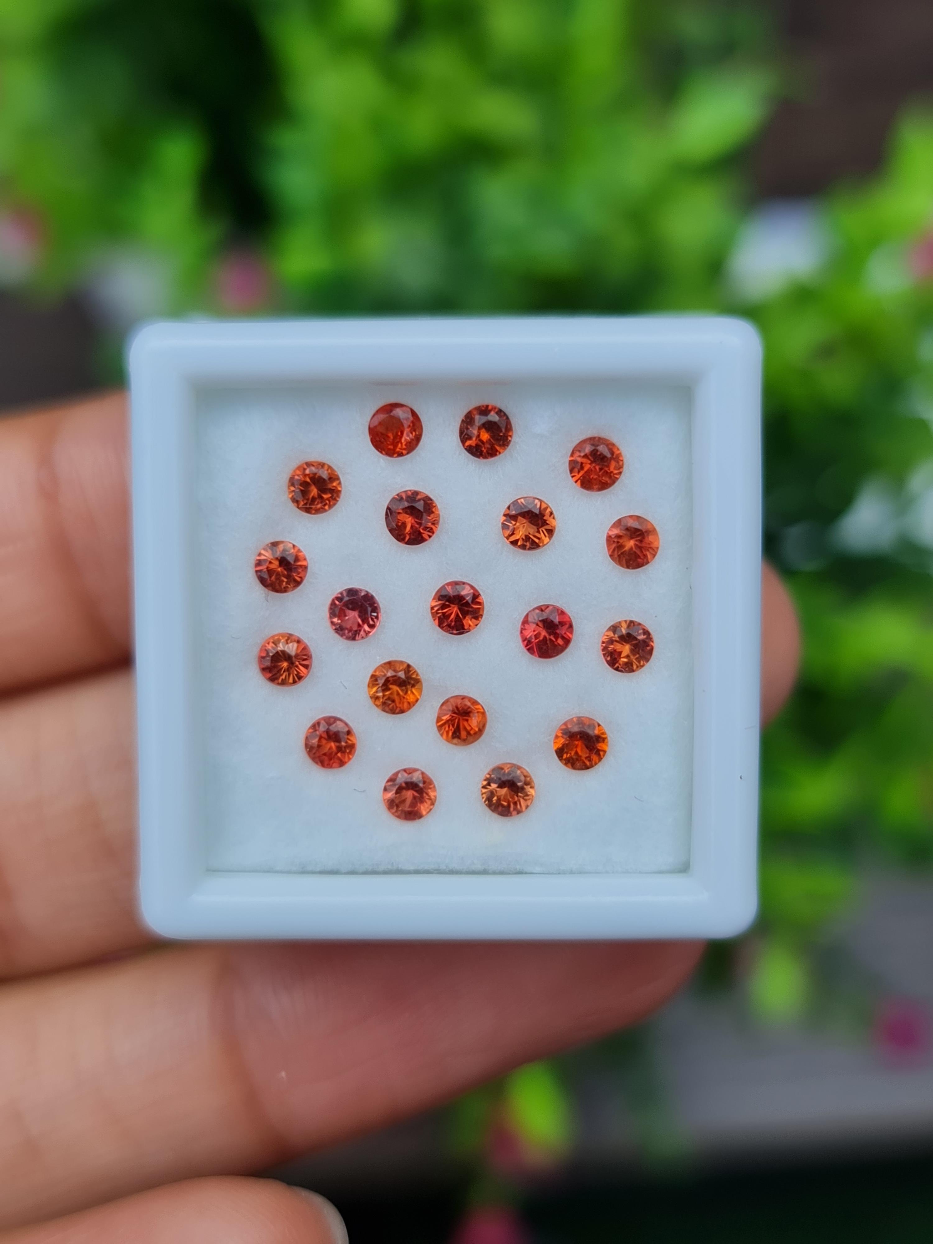 พลอย ซองเจีย แซฟไฟร์ Songea Sapphire 19 เม็ด 1.60 กะรัต (Cts.) พลอยแท้ อัญมณีมงคลประจําวันเกิด เครื่องประดับพลอย