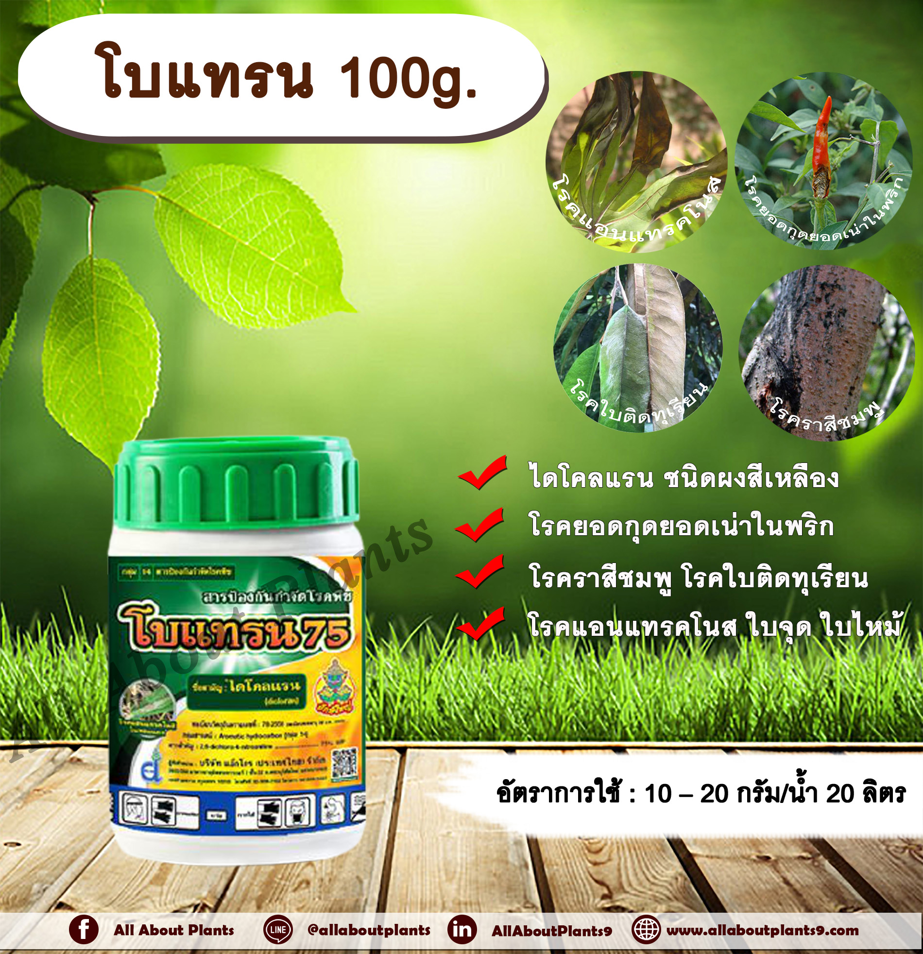 โบแทรน 100g. ไดคลอแรน สารกำจัดโรคพืช สารกำจัดเชื้อรา โรคยอดกุดยอดเน่าในพริก โรคราสีชมพู โรคใบติด ทุเรียน โรคแอนแทรคโนส โรคใบจุด โรคใบไหม้ ชิ้น