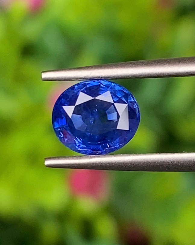 พลอย ไพลิน (Blue Sapphire) 1.47 กะรัต (Cts.) สีพิเศษ รอยัล บลู (Royal Blue) พร้อมใบเซอร์ พลอยแท้ อัญมณีมงคลประจําวันเกิด เครื่องประดับพลอย