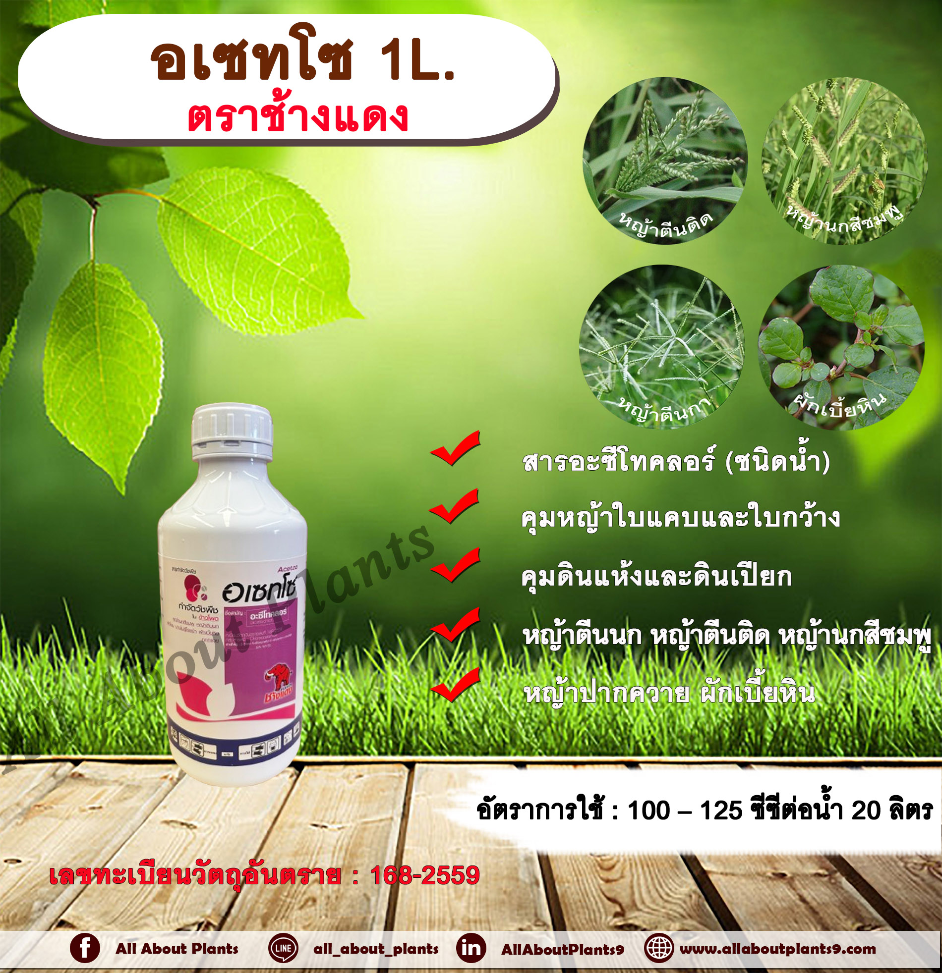 อเซทโซ 1L.ตราช้างแดง อะซีโทคลอร์ อะเซโทคลอร์ คุมหญ้า คุมวัชพืช คุมแห้ง สารกำจัดวัชพืช ใบแคบ ใบกว้าง หญ้าตีนติด หญ้าตีนกา หญ้านกสีชมพู หญ้าปากควาย ผักเบี้ยหิน ผักโขม ขวด