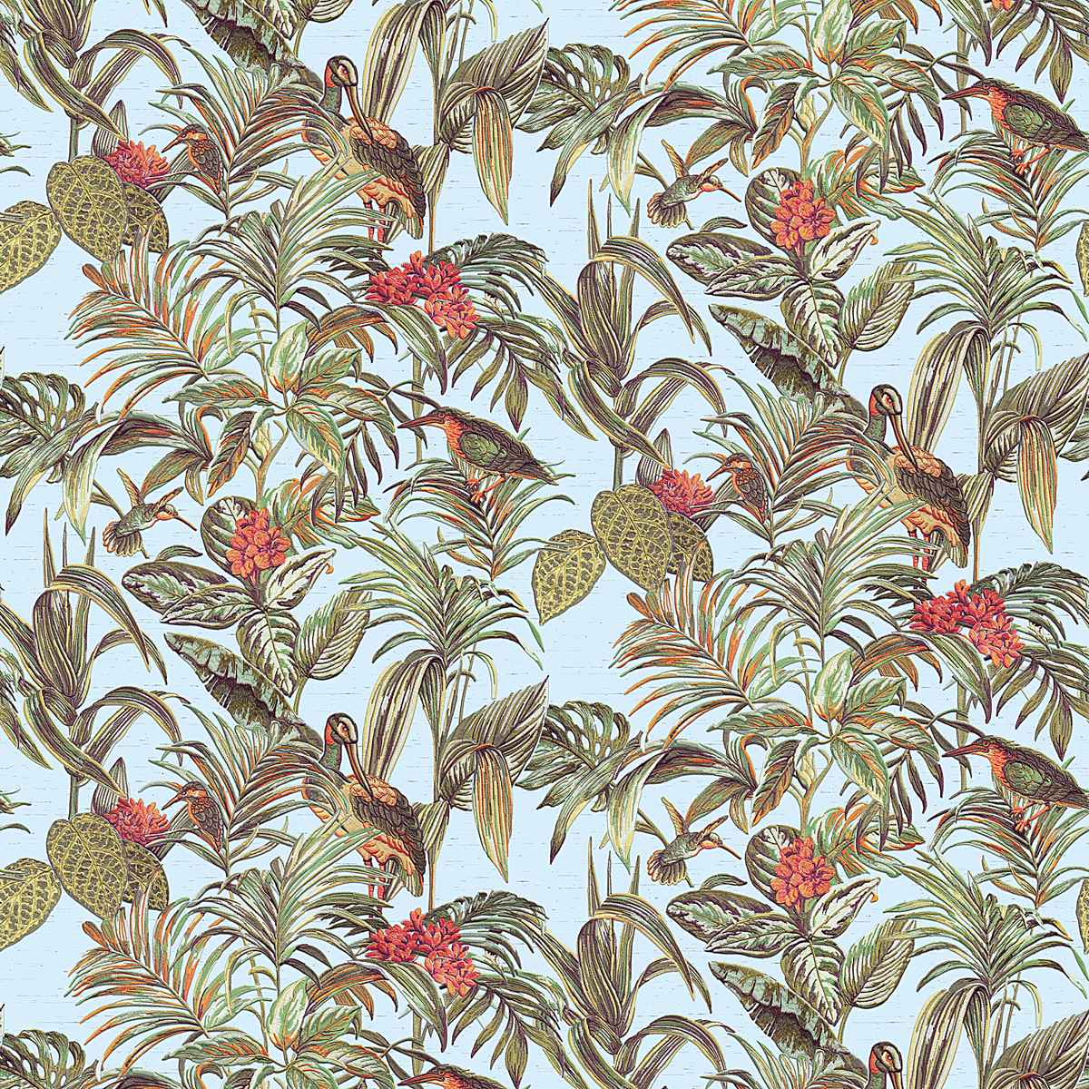 Decortex DE120014